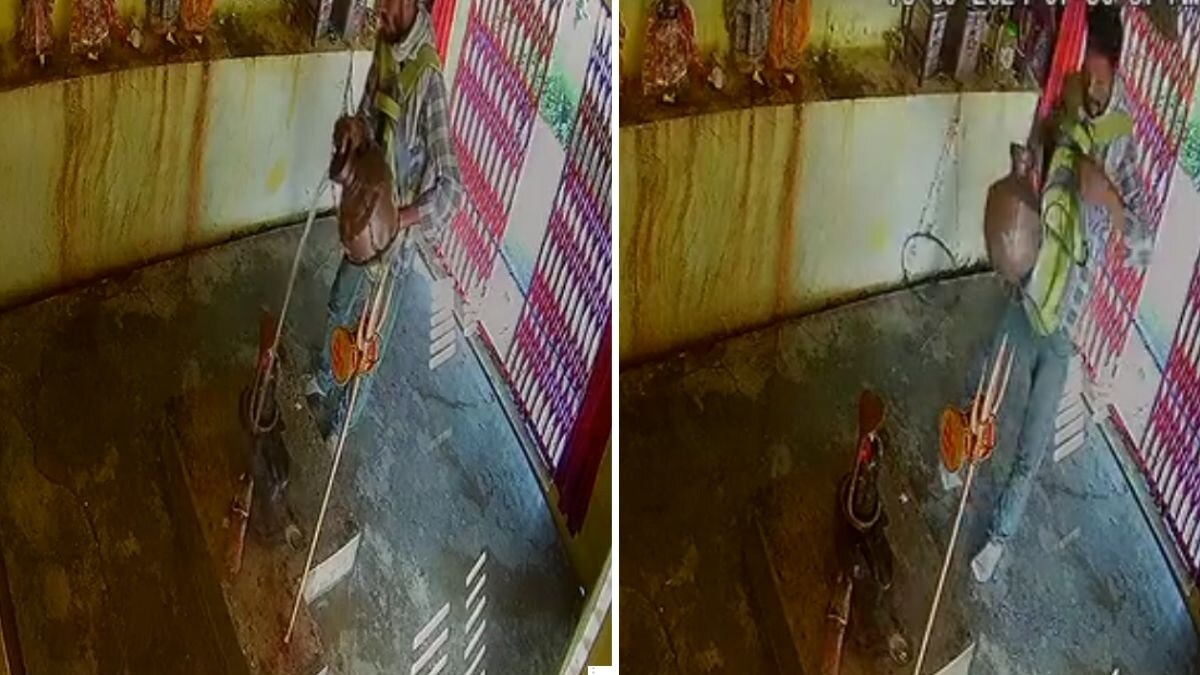 मंदिर में घुसा चोर. (Video Grab)