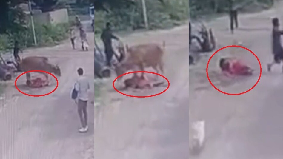 The incident was captured in CCTV. The incident was captured in CCTV.