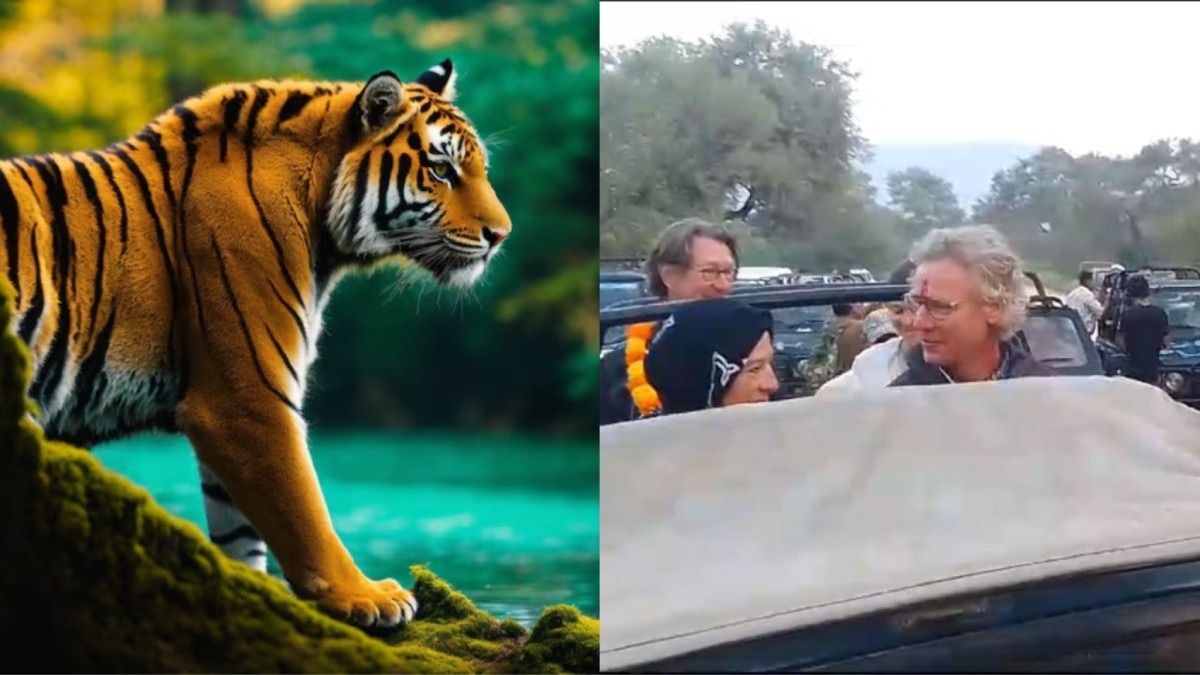 तीन महीने बाद खुला सरिस्का टाइगर रिजर्व 