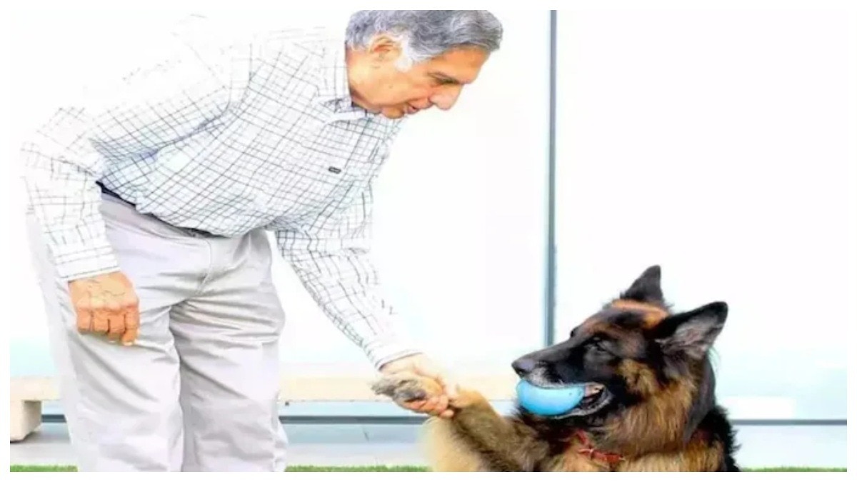 रतन टाटा को जानवरों के प्रति प्यार के लिए भी जाना जाता था. 