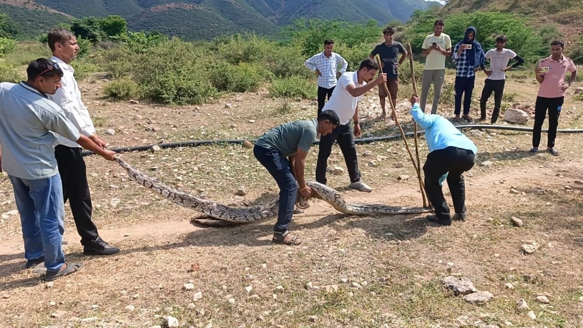 वन विभाग की टीम ने अजगर का किया रेस्क्यू 