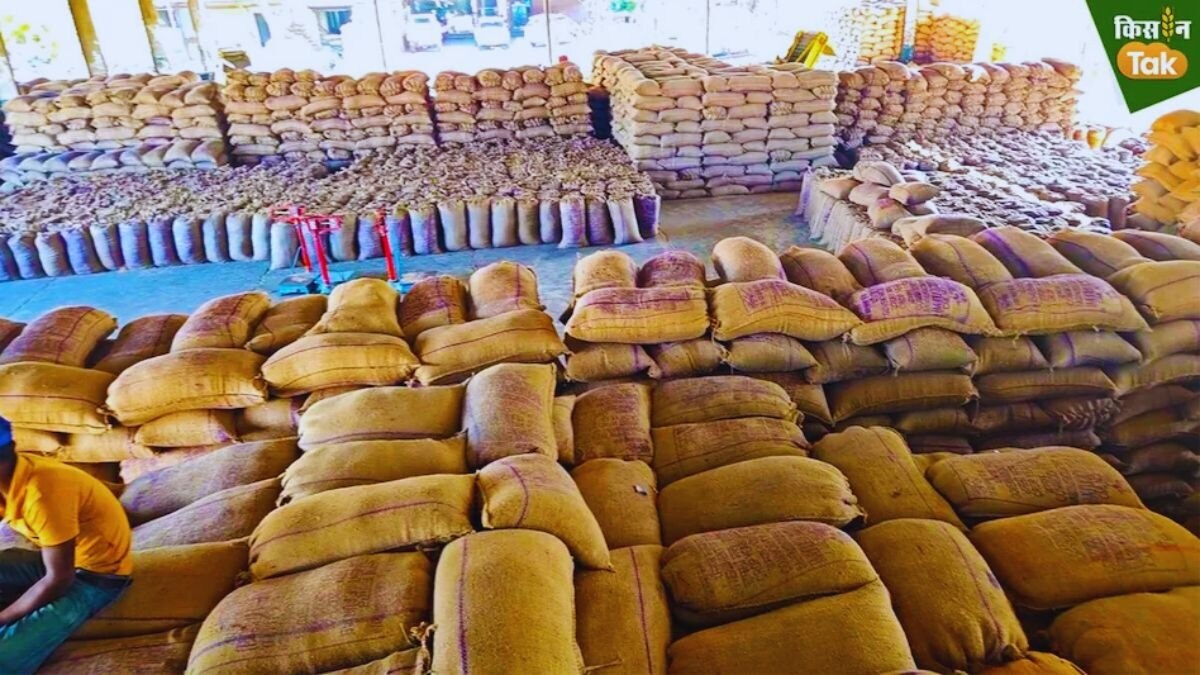 Kharif crop procurement