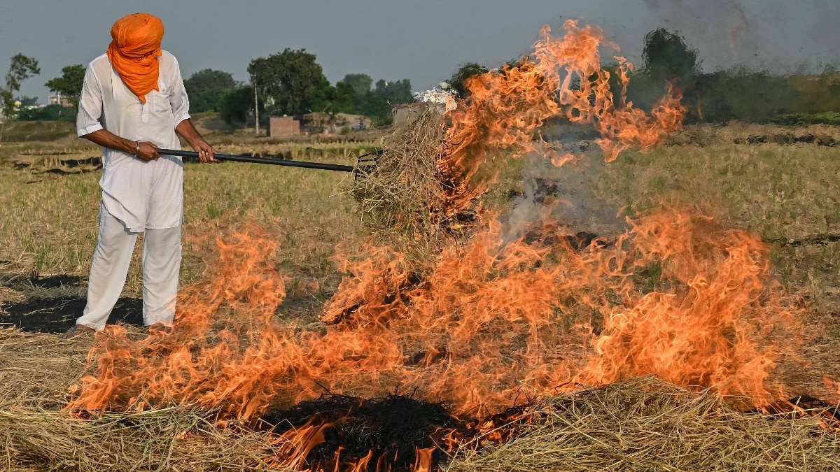 पराली जलाते किसान (फाइल फोटो)