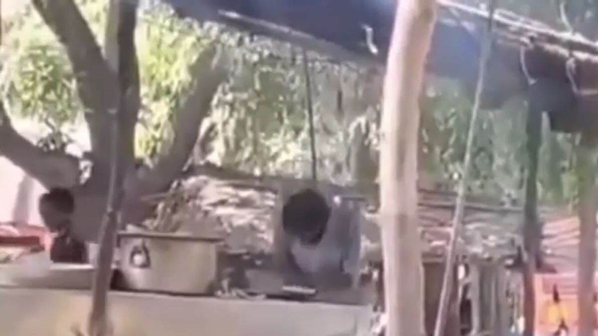 घिनौनी हरकत का वीडियो वायरल. (Photo: Video Grab) घिनौनी हरकत का वीडियो वायरल. (Photo: Video Grab)