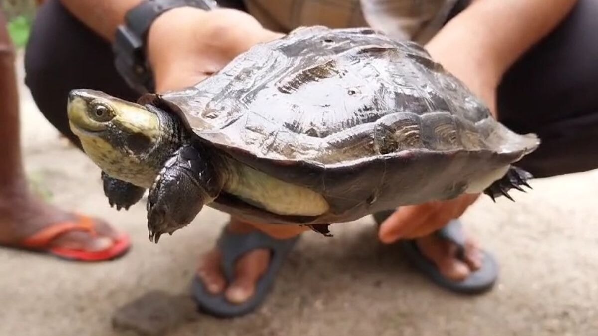 सांकेतिक तस्वीर