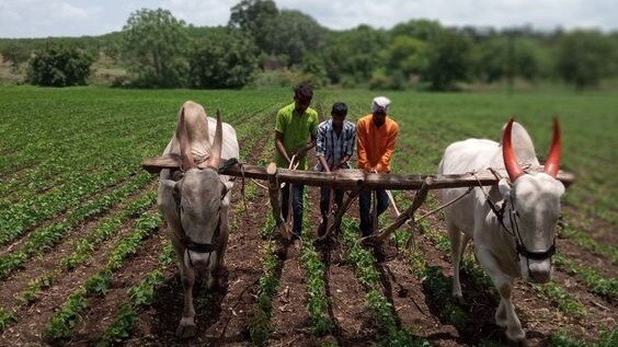 Agriculture Advisory