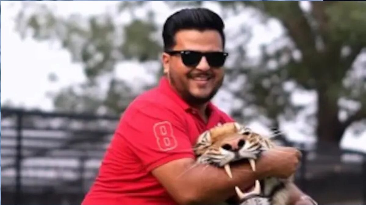 जान से खिलवाड़... इस पाकिस्तानी शख्स ने टाइगर के मुंह में डाल दिया हाथ, वीडियो वायरल