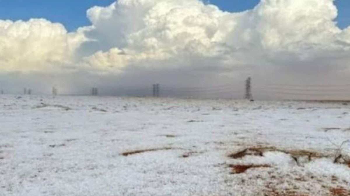 सऊदी अरब में बर्फबारी Image Credit-@JhanUlfat/x