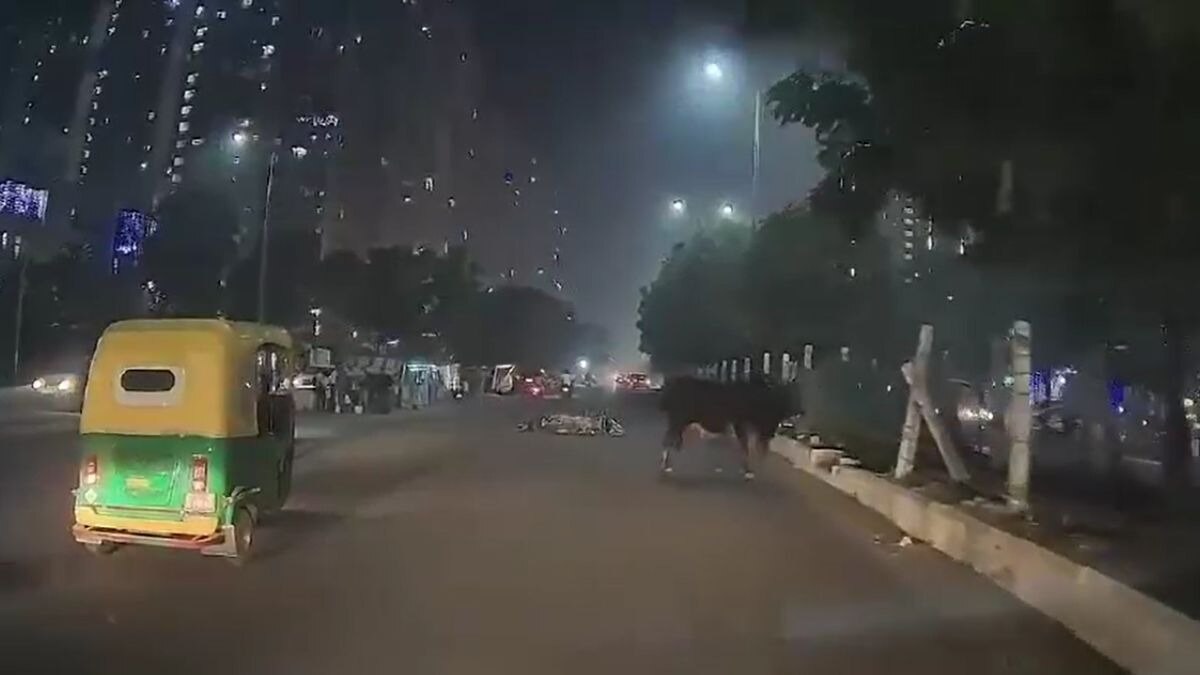 सांड से टकराकर गिरा बाइक सवार. (Video Grab)