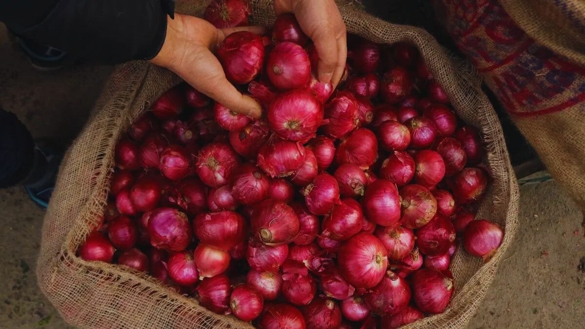 प्याज की बढ़ती कीमतों पर कृषि मंत्री शिवराज सिंह चौहान ने दिया जवाब