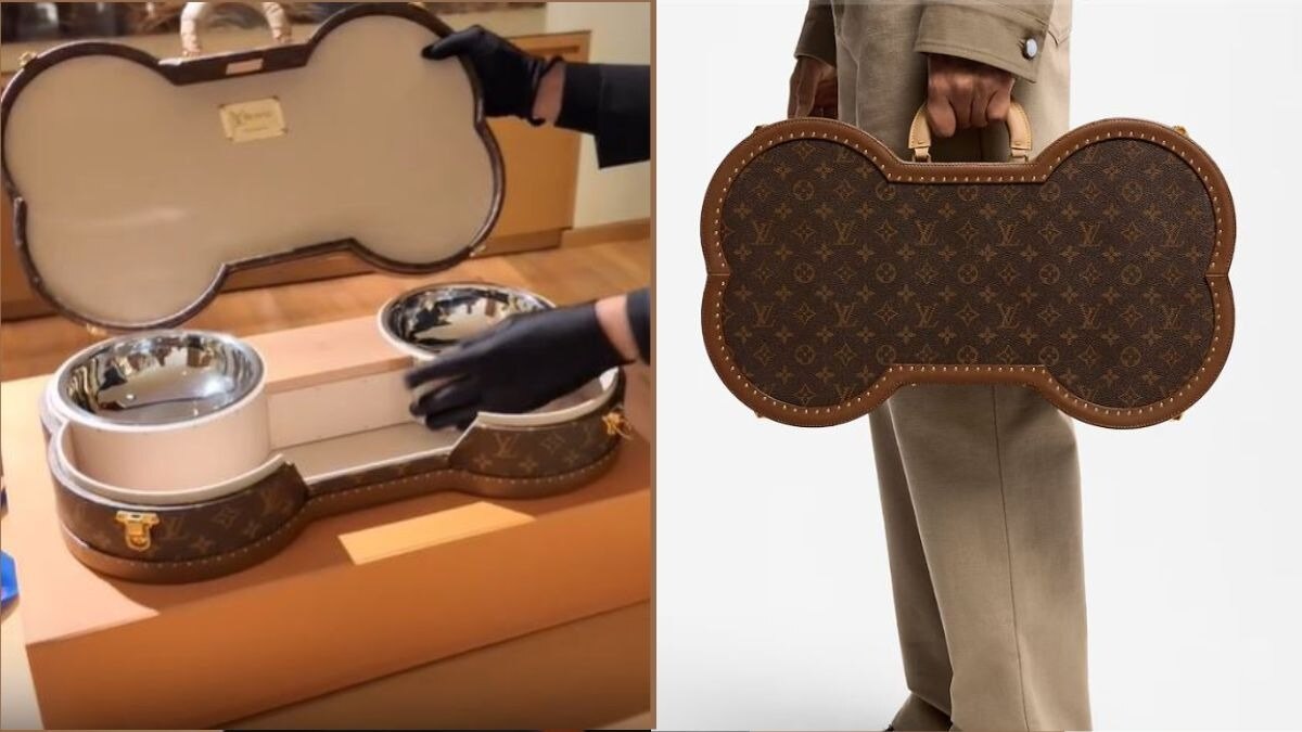 मालिक ने डॉगी के लिए खरीदा 14 लाख का सूटकेस( Image Credit-acerogersceo