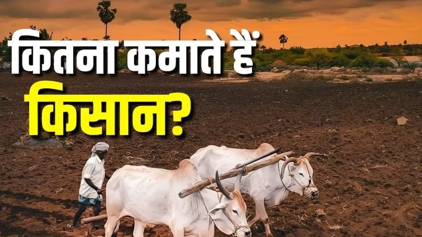 कितना कमाते हैं भारत के किसान?