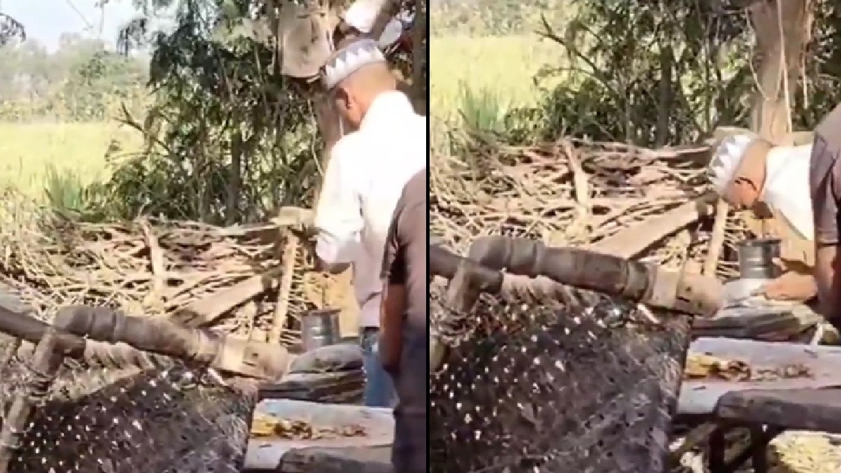 शादी में थूक लगाकर रोटी बनाते युवक का वीडियो वायरल