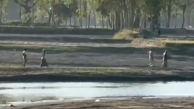 ऑपरेशन इल्लीगल