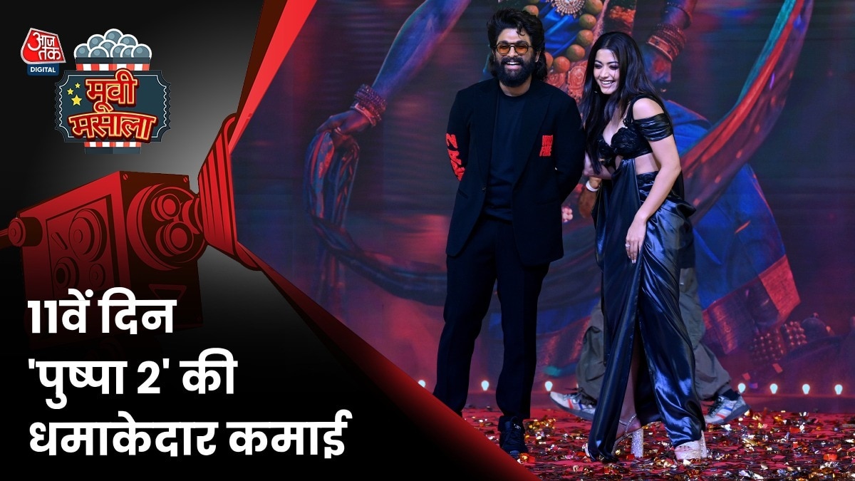 'पुष्पा 2' हिंदी बॉक्स ऑफिस कलेक्शन 