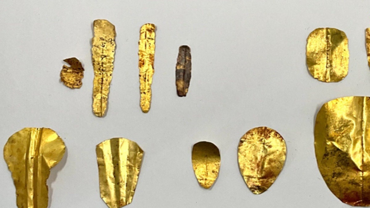 खुदाई में निकले सोने की जीभ और नाखून... एक-एक की कीमत करोड़ों में