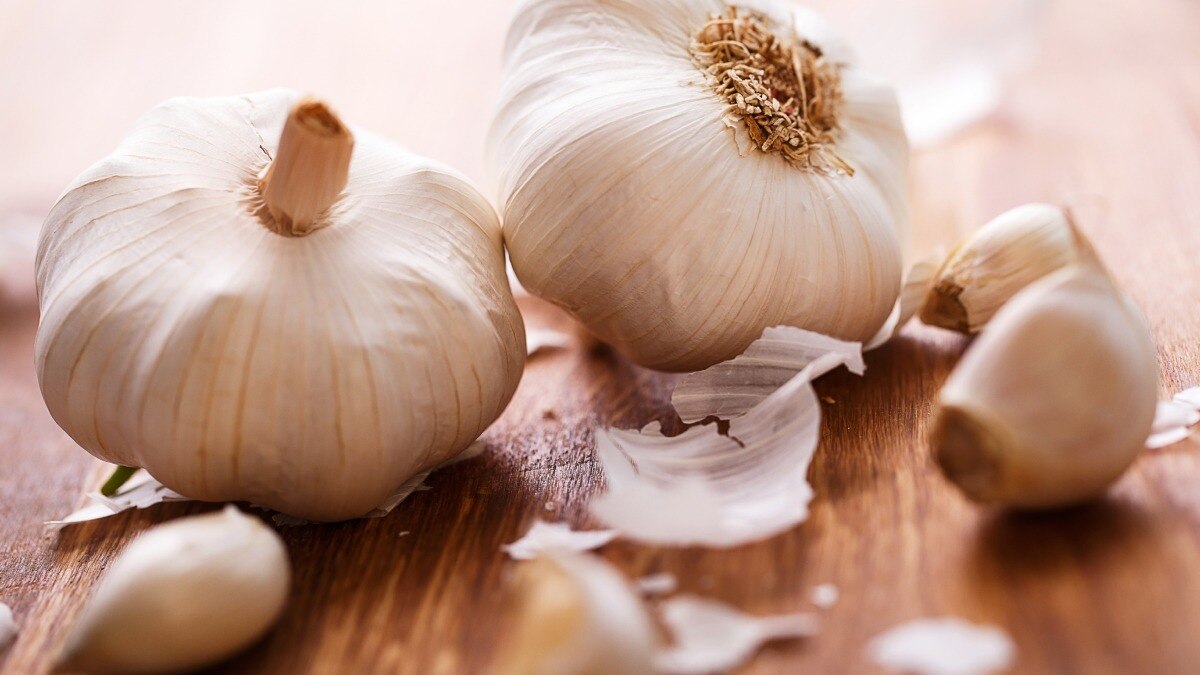 लहसुन के फायदे