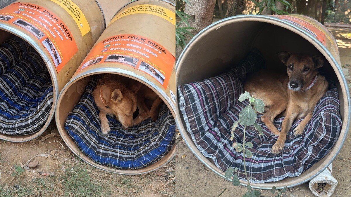  इंसानियत की अनूठी मिसाल.