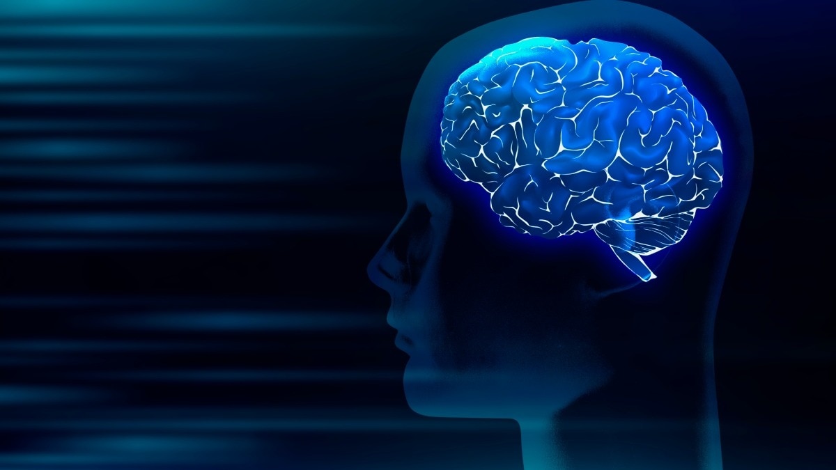 दिमाग को कैसे करें तेज