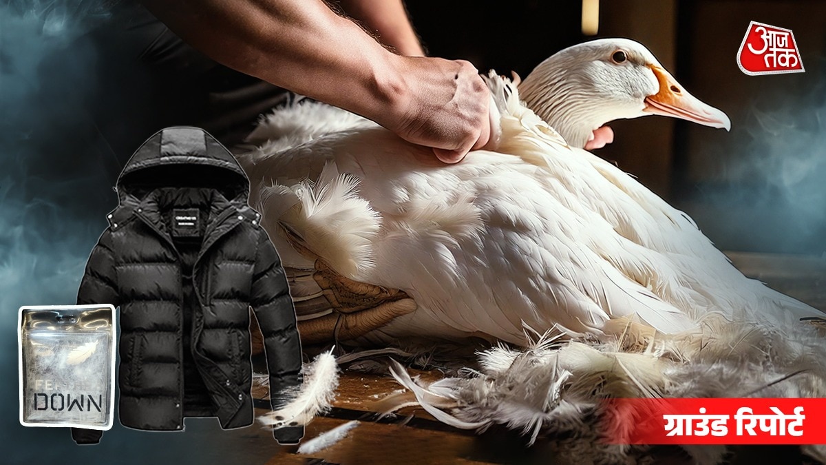 Duck Down Jacket: बाजार में फूली हुई जैकेट का ट्रेंड, जानें कौन चुका रहा इसकी असल कीमत