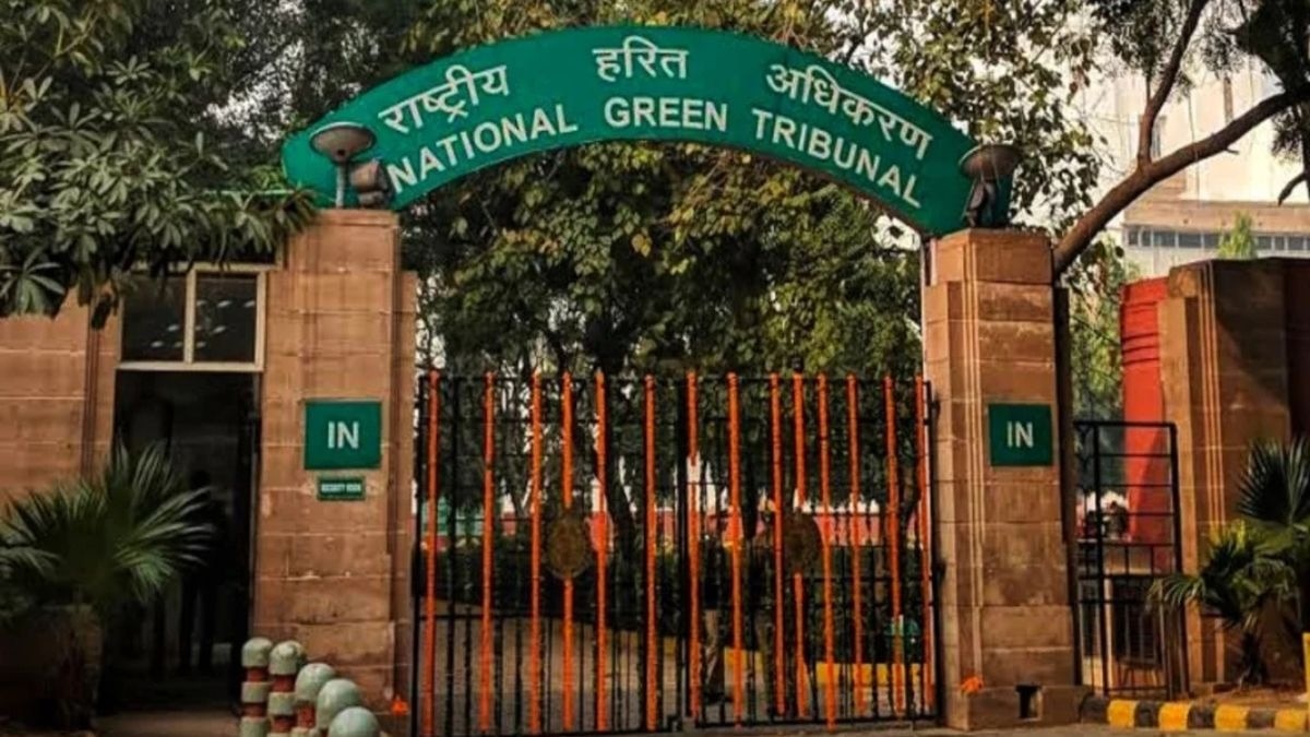NGT कोर्ट में याचिका दायर. (फाइल फोटो)