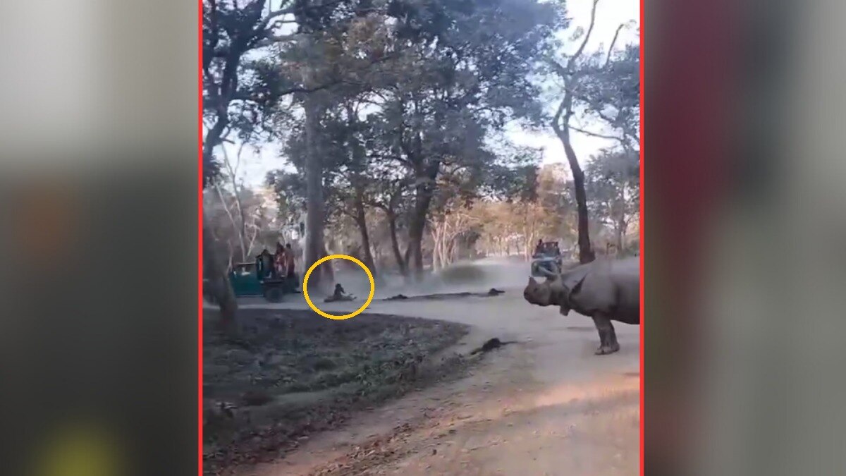 काजीरंगा में गैंडे के सामने गिरीं मां-बेटी