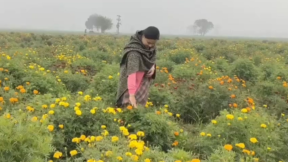 फूलों की खेती कर लाखों कमा रहे यहां के किसान