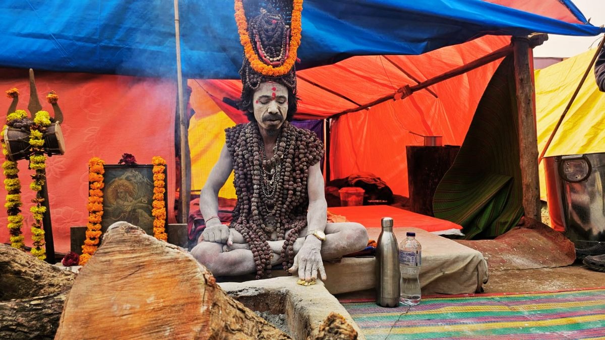 नागा साधु दिगंबर विजय पुरी. (Photo: Aajtak)