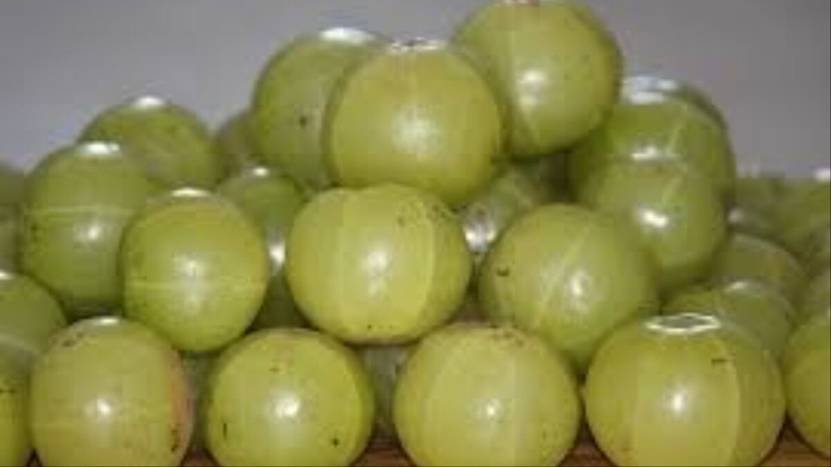 amla