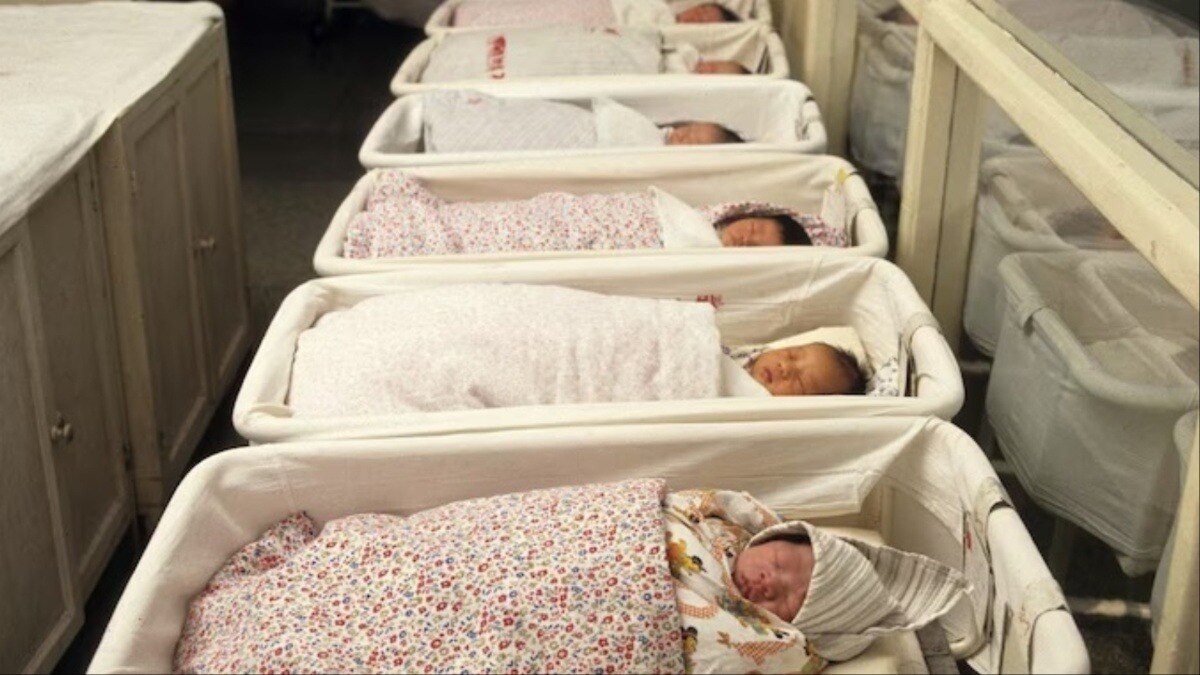 डोनाल्ड ट्रंप ने प्रवासियों के लिए जन्मजात नागरिकता को खत्म करने का आदेश जारी किया है (Photo- Getty Images)