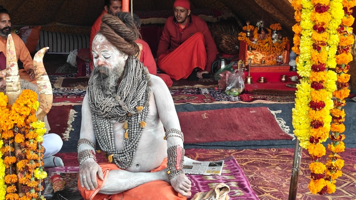 निरंजनी अखाड़े के नागा बाबा दिगंबर दर्शन गिरी जी महाराज