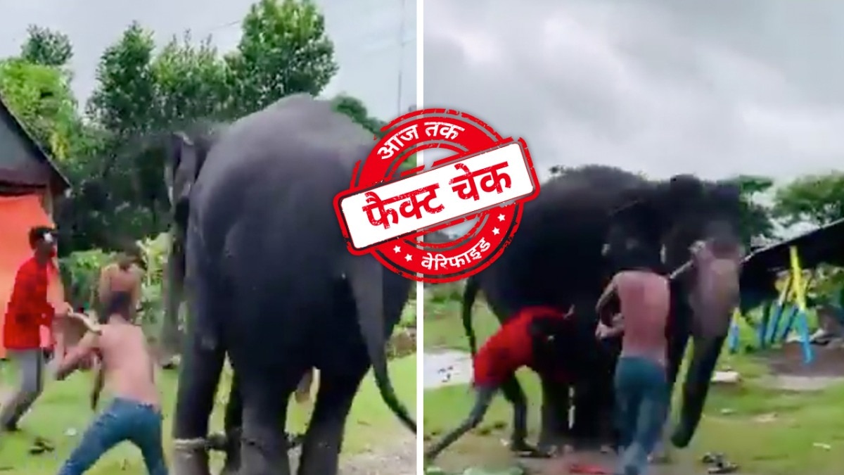 सोशल मीडिया यूजर्स