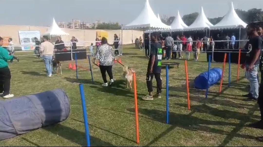  डॉग लवर्स इवेंट.