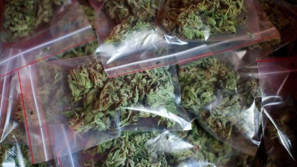 MDMA और गांजा बेचने के आरोप में आईटी इंजीनियर गिरफ्तार (File photo)