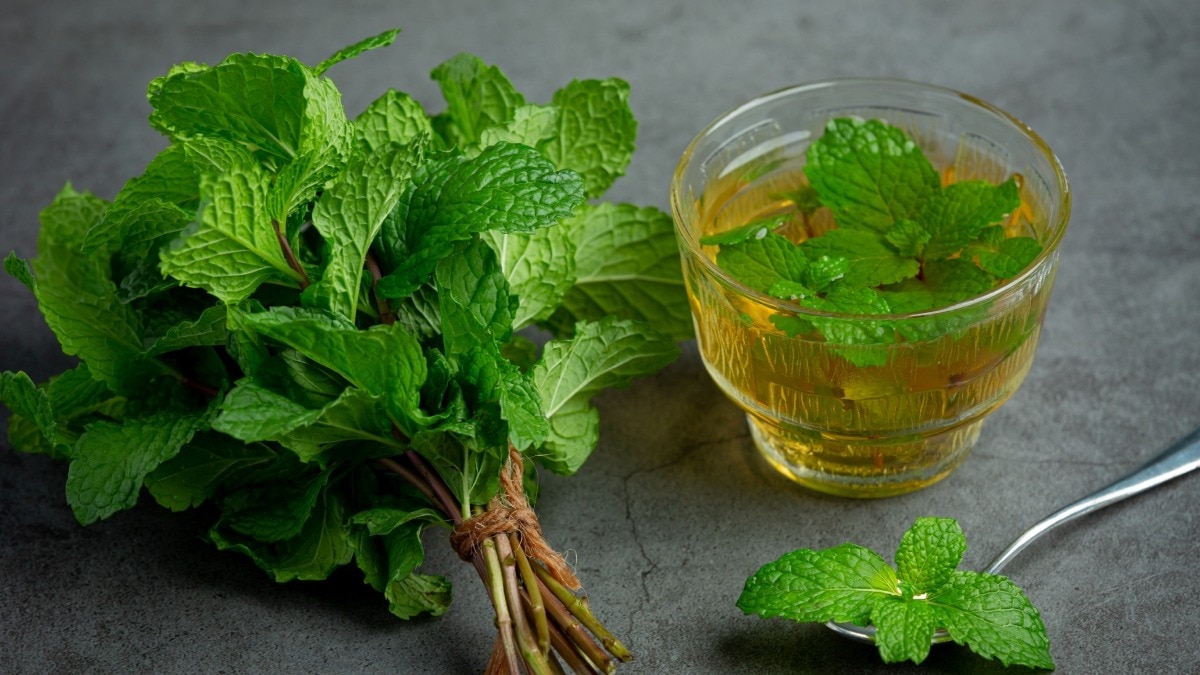 Mint Leaf for Skin 