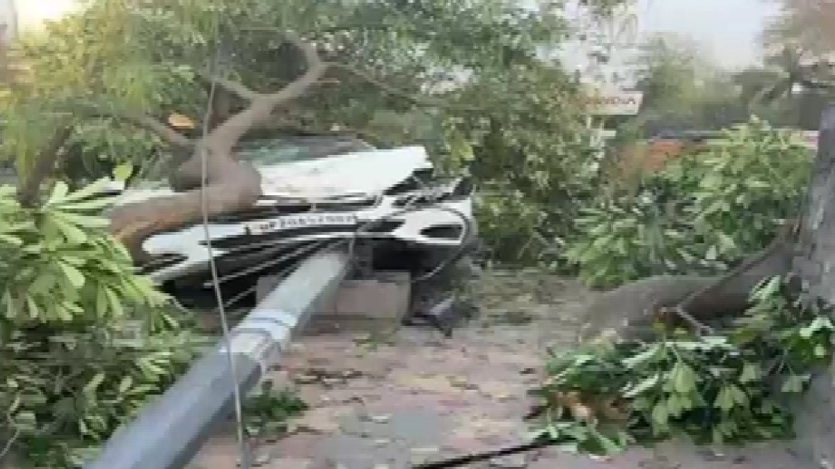 नोएडा में तेज रफ्तार कार पेड़ से टकराई