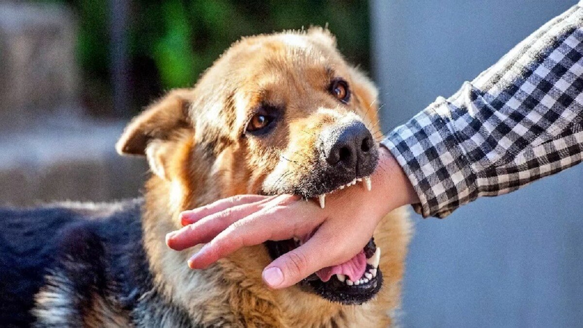 सांकेतिक तस्वीर