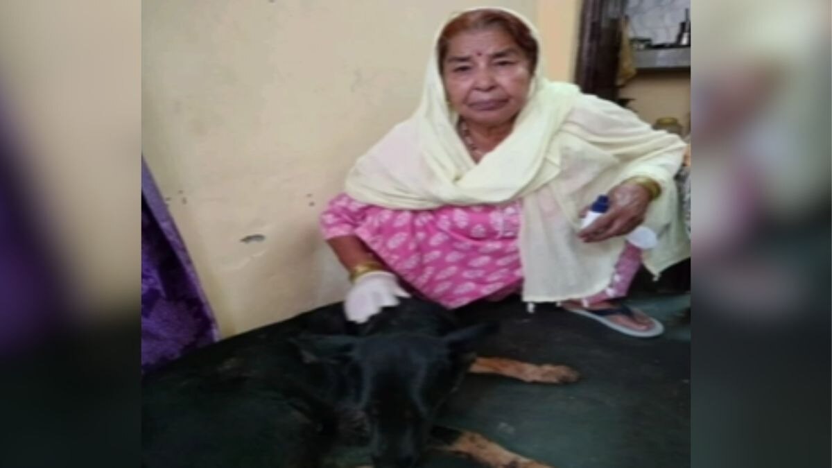 पड़ोसी के कुत्ते को गाड़ी में बांधकर कई किलोमीटर तक घसीटा, डॉगी के भौंकने से भड़का था शख्स