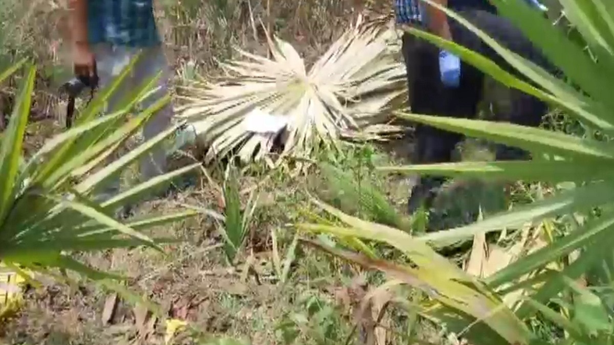 जंगल गई बच्ची से अप्राकृतिक यौन शोषण, वारदात के बाद ताड़ के पत्तों से ढककर भागे आरोपी