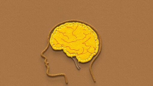 foods that damage your brain