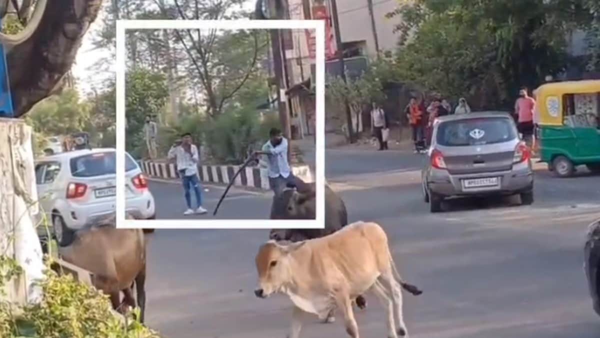 भोपाल में अपराधियों के हौसले बुलंद भोपाल में अपराधियों के हौसले बुलंद