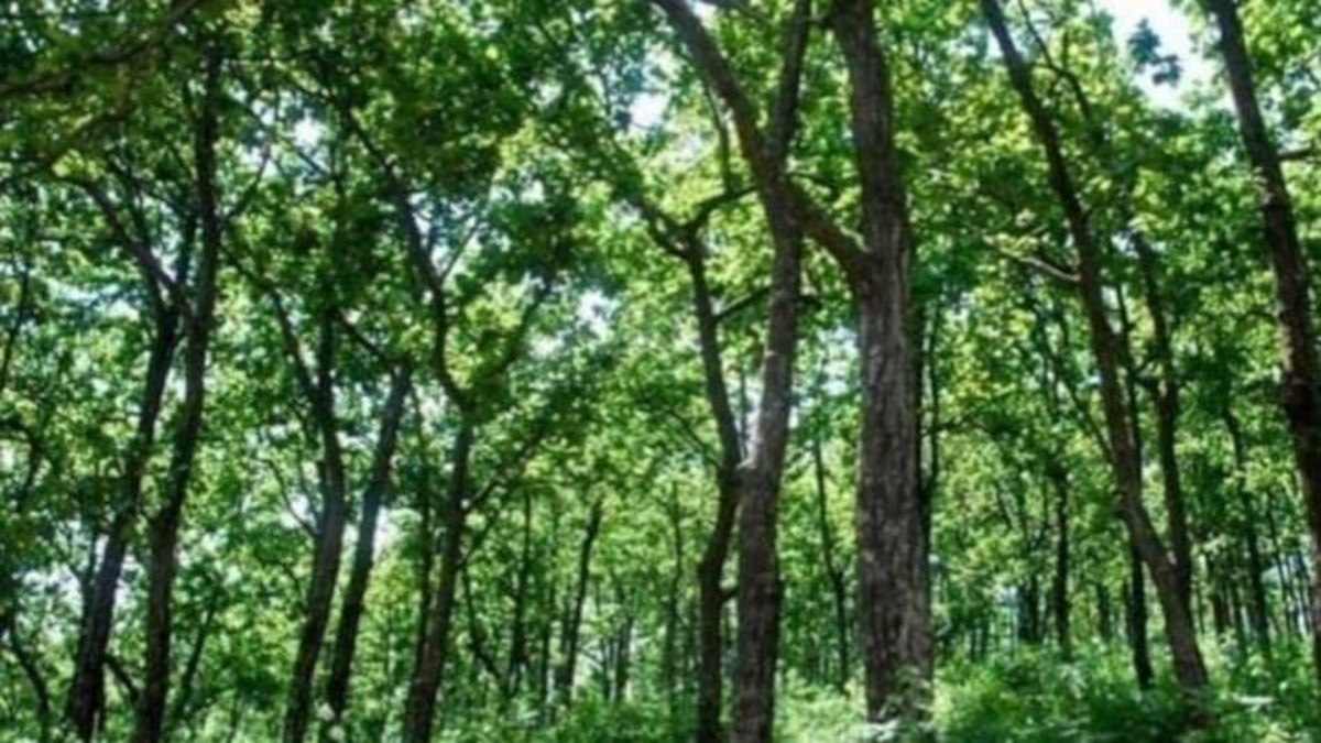 (सांकेतिक तस्वीर)