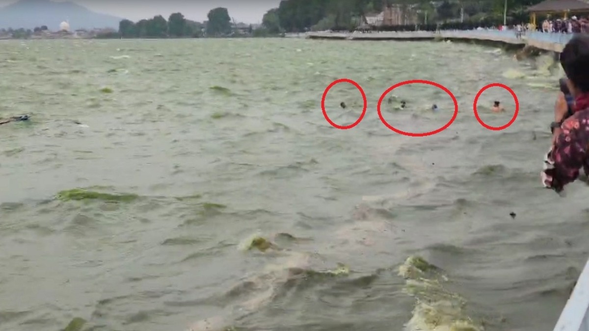 डल झील में बड़ा हादसा हुआ, पर्यटकों से भरी नाव पलटी (फोटो क्रेडिट - वीडियो ग्रैब)