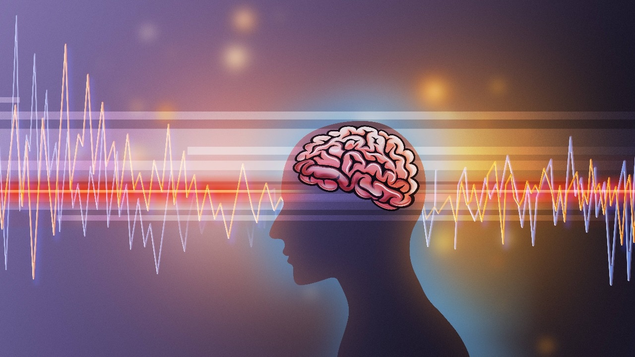 दिमाग शरीर का सबसे महत्वपूर्ण अंग है.