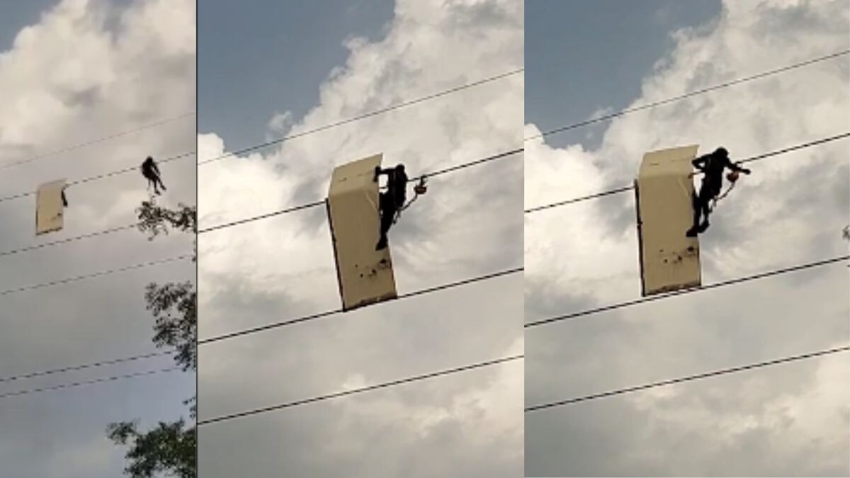 हाईटेंशन लाइन से साइनबोर्ड का टुकड़ा हटाता बिजली कर्मी.