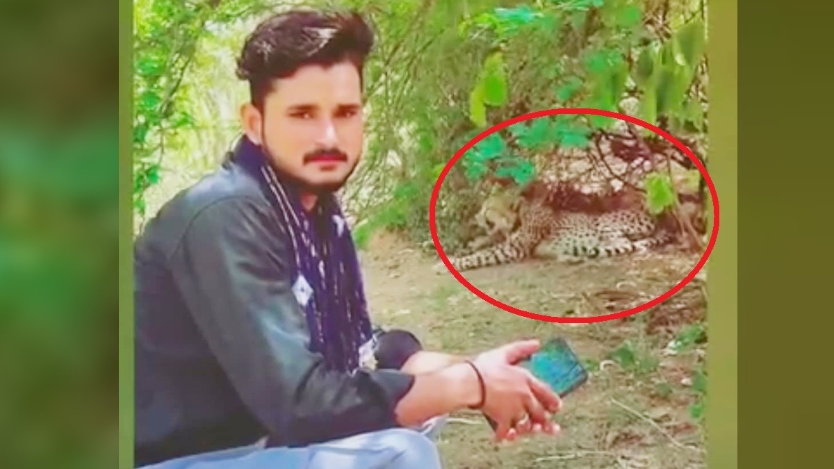 A young man was seen taking a selfie with cheetahs