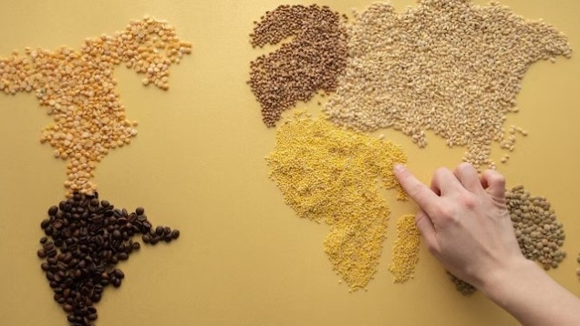 आहार की संस्कृति का हिस्सा रहे हैं मोटे अनाज