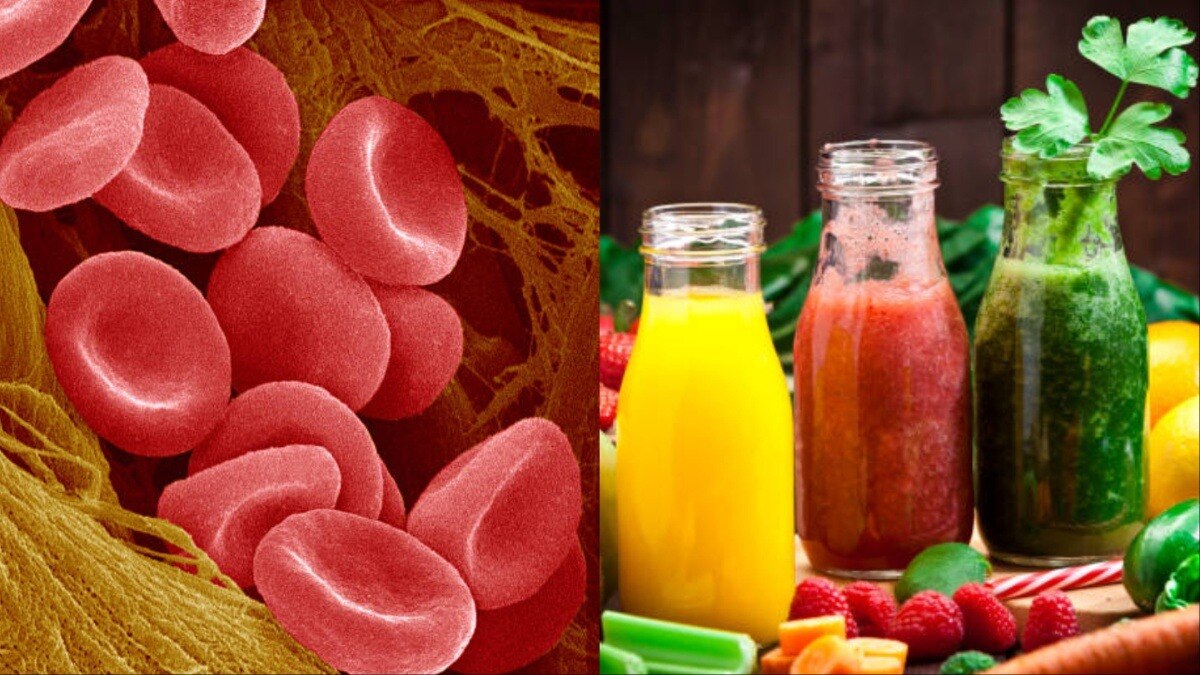 Foods increase blood in body
