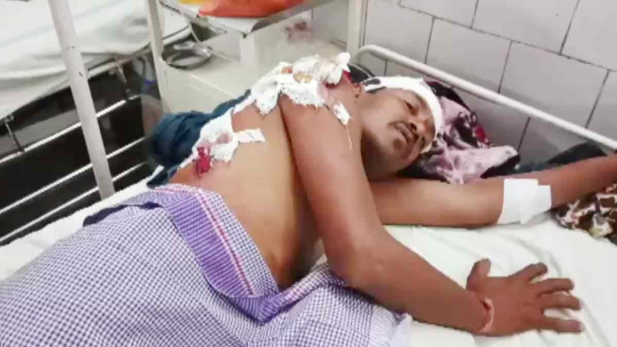 A bear fatally attacked a young man