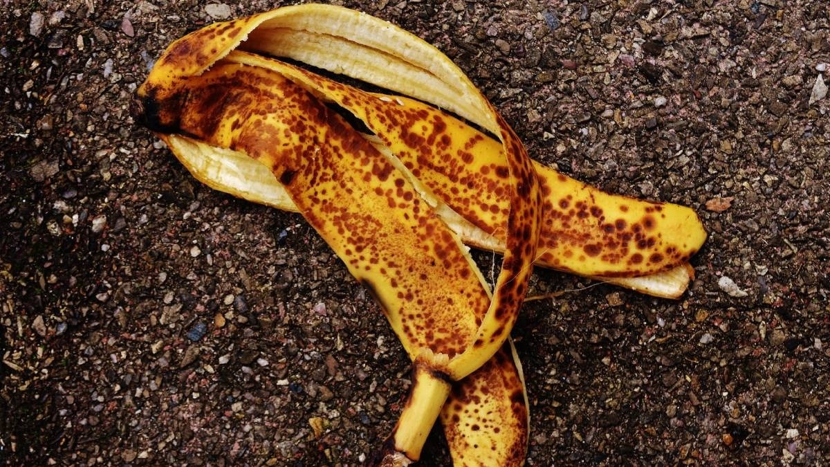 banana-peel